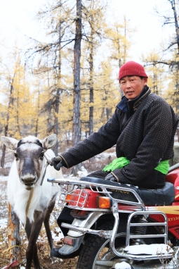 When I asked my mentor if I could take a photo of him on his motorcycle, he agreed but wanted to bring a reindeer into the composition. Many tourists perceive the presence of modern amenities as potential risks to the survival of Dukha Tsaatans’ ‘ancient shamanic culture’. Rather than being extinguished by ‘modernity’, Dukha people strategically synergize both familiar and new tools and practices that issue from both within and without the taiga through acrobatic improvisation.